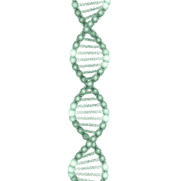 Molecular Diagnostics