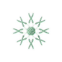 Polyploidy Induction